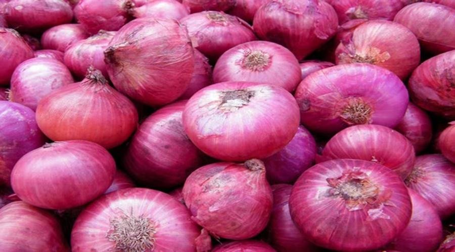 Onion rate