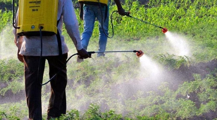 Pesticide Ban