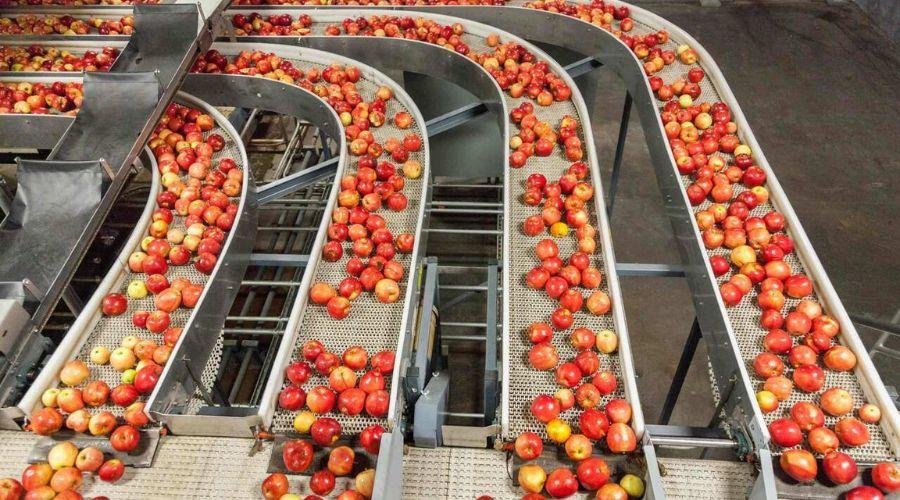 Fruit processing industry