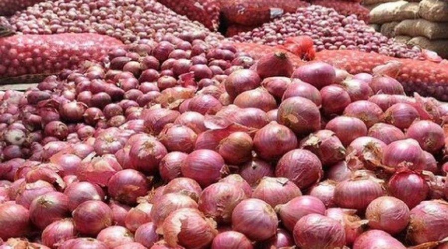 Onion Price