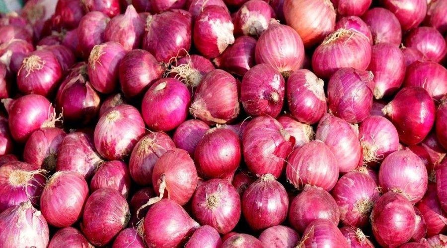 Export Ban on Onion