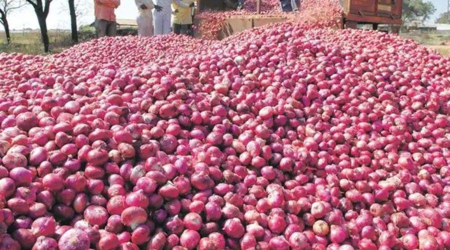 Onion Export Ban Lift