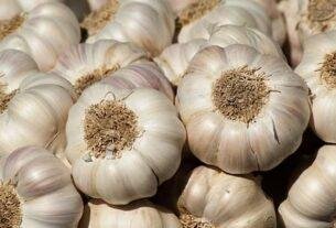 Garlic Price
