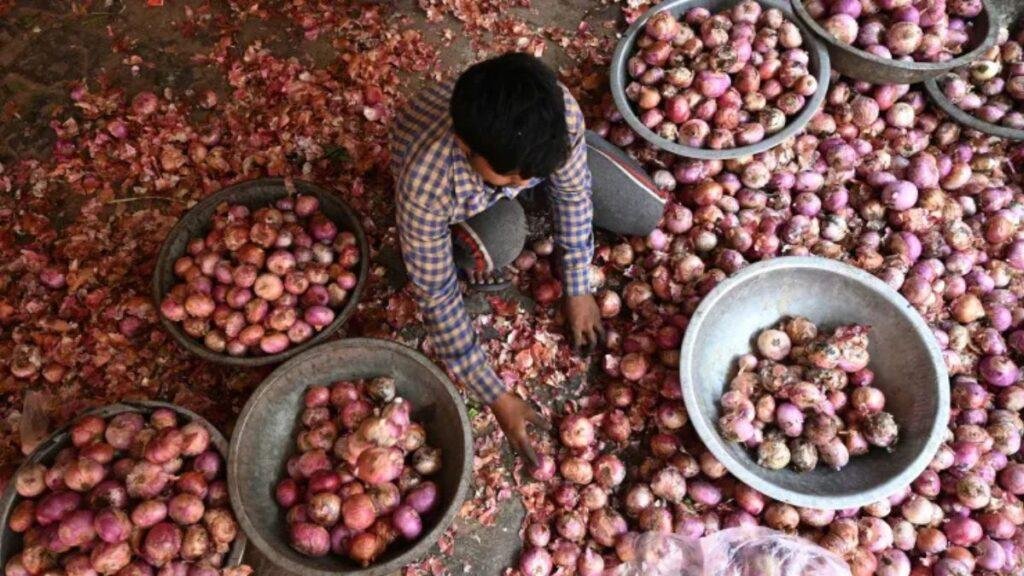Onion market