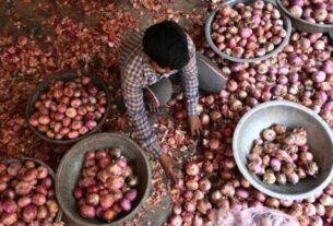 Onion market